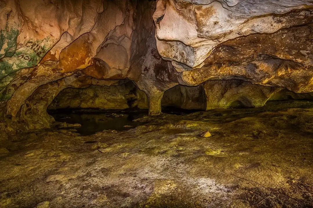 Viaje al centro del Refugio de Fauna Silvestre de Cuare, Cueva de Monte Alto. En dos visitas aco (15)