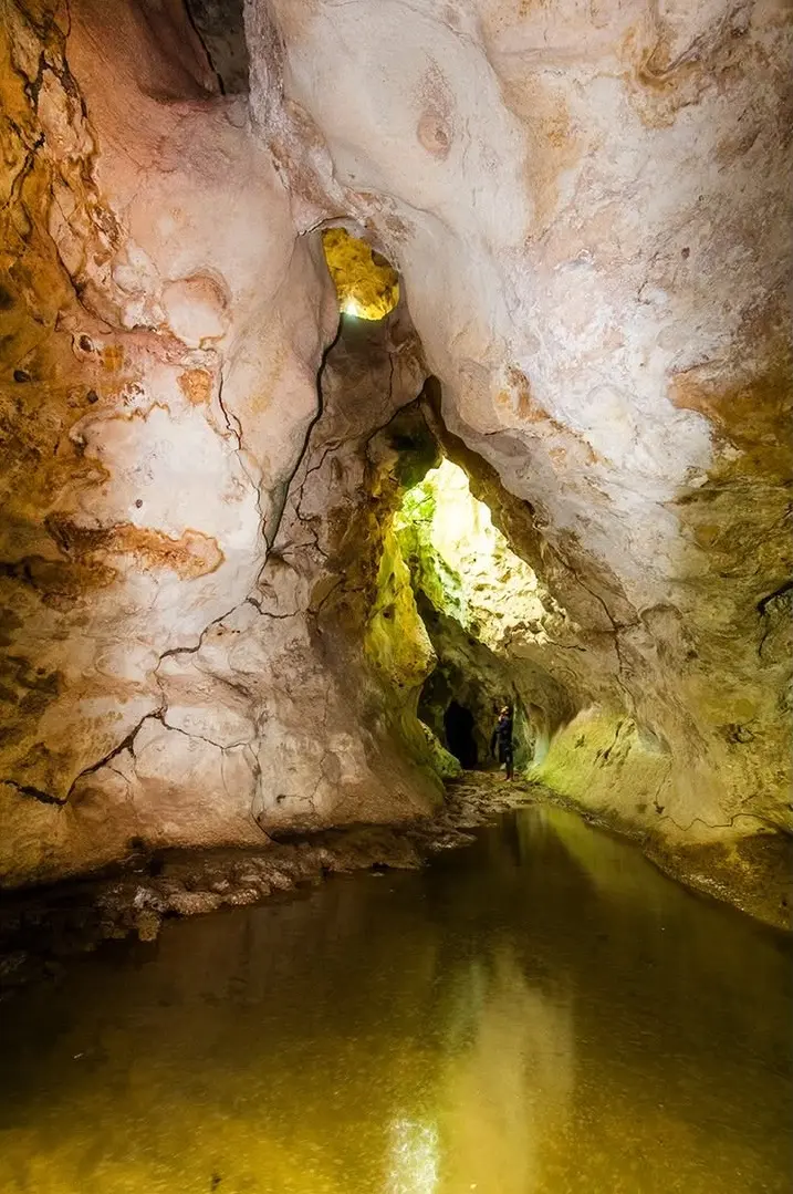 Viaje al centro del Refugio de Fauna Silvestre de Cuare, Cueva de Monte Alto. En dos visitas aco (6)