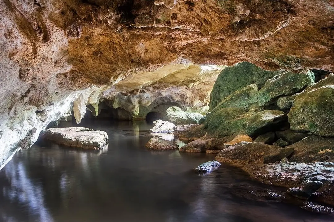 Viaje al centro del Refugio de Fauna Silvestre de Cuare, Cueva de Monte Alto. En dos visitas aco (8)